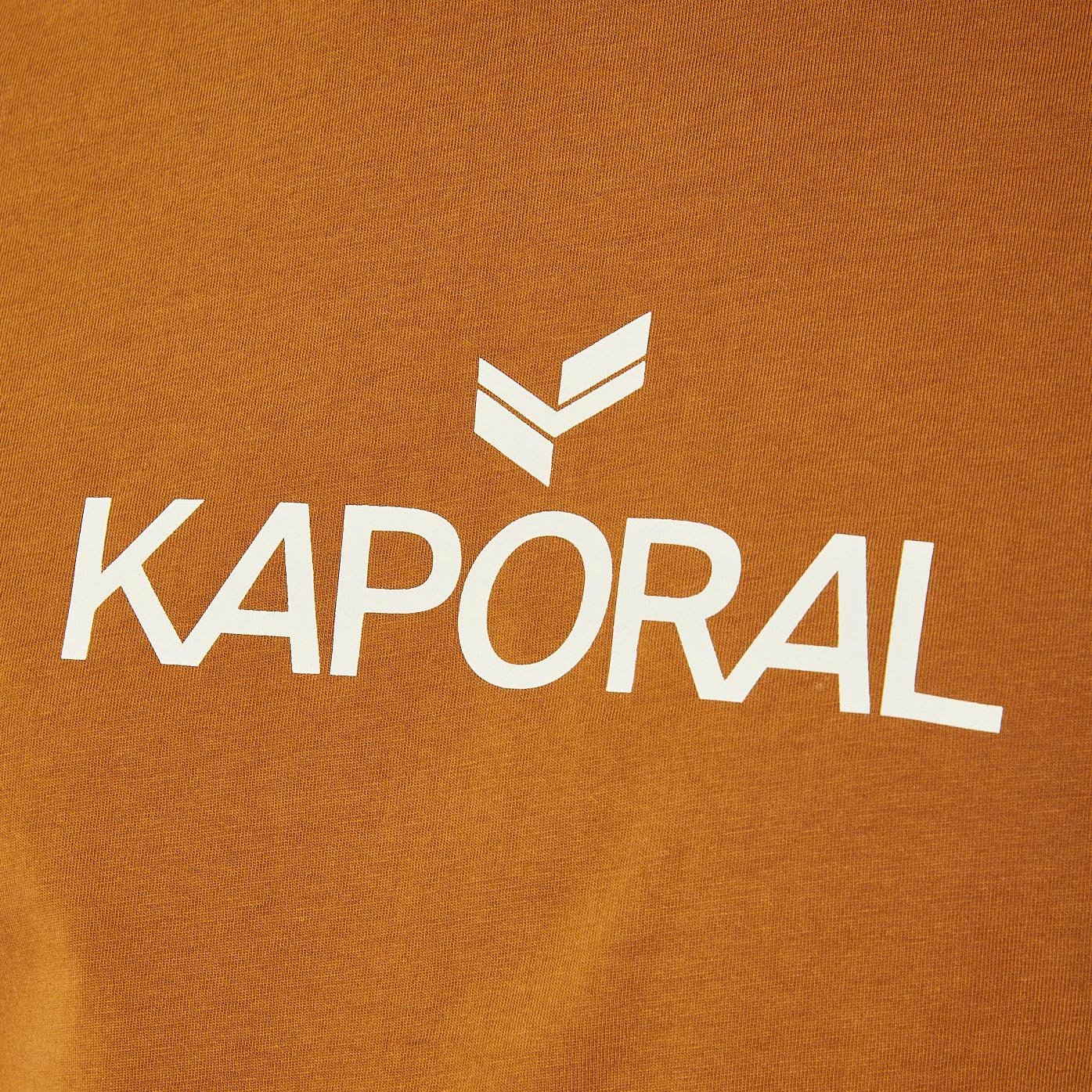 LERES  T-shirt marron homme 100% coton