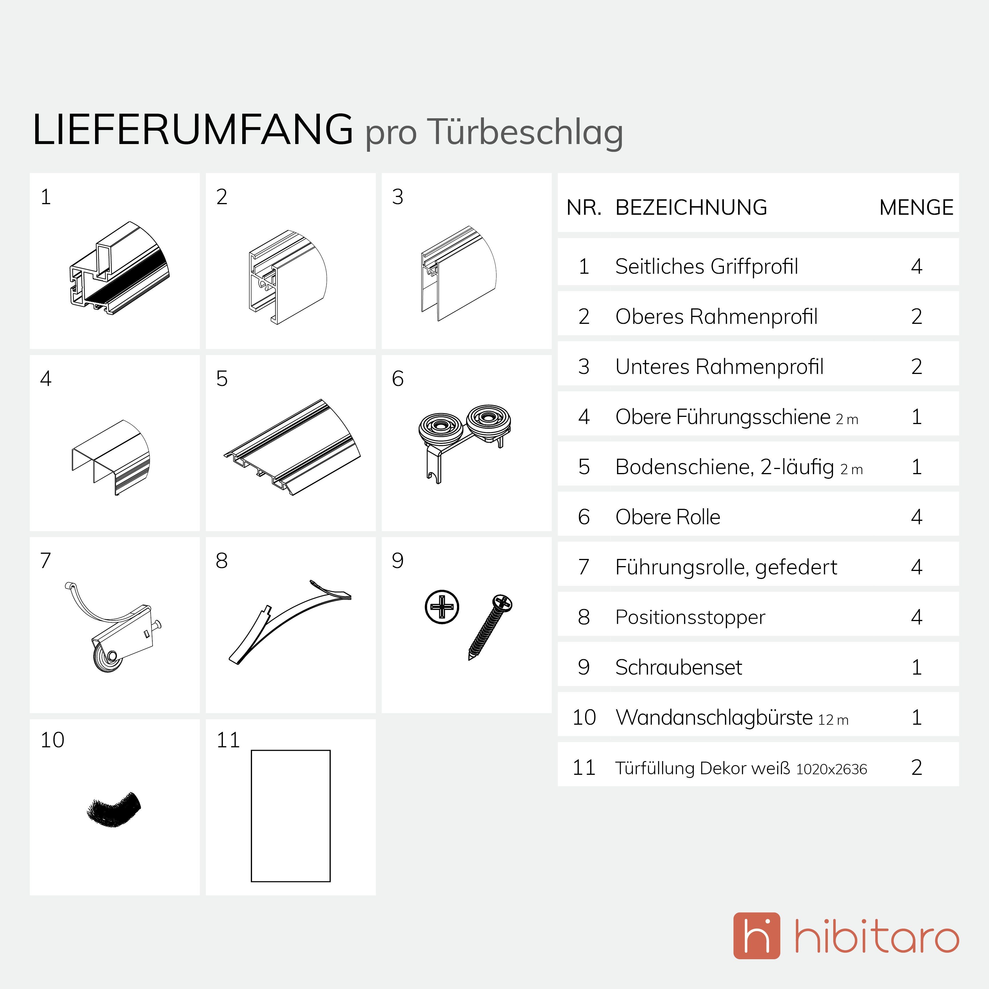hibitaro Schiebetür 2-flügliger Schiebetür Bausatz mit Alurahmen inkl. Füllung