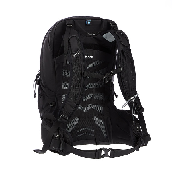 TEMPEST 20 Damen - Tagesrucksack