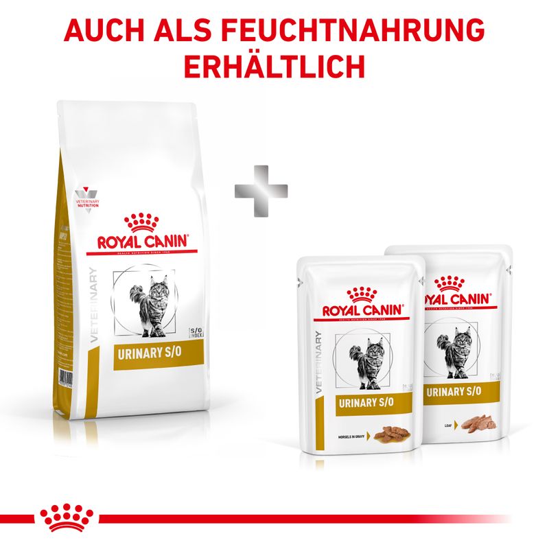 Royal Canin Veterinary Feline Urinary S/O zu TOP-Preisen | bitiba