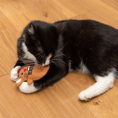 Katzenspielzeug Lebkuchen-Maus & Rentier