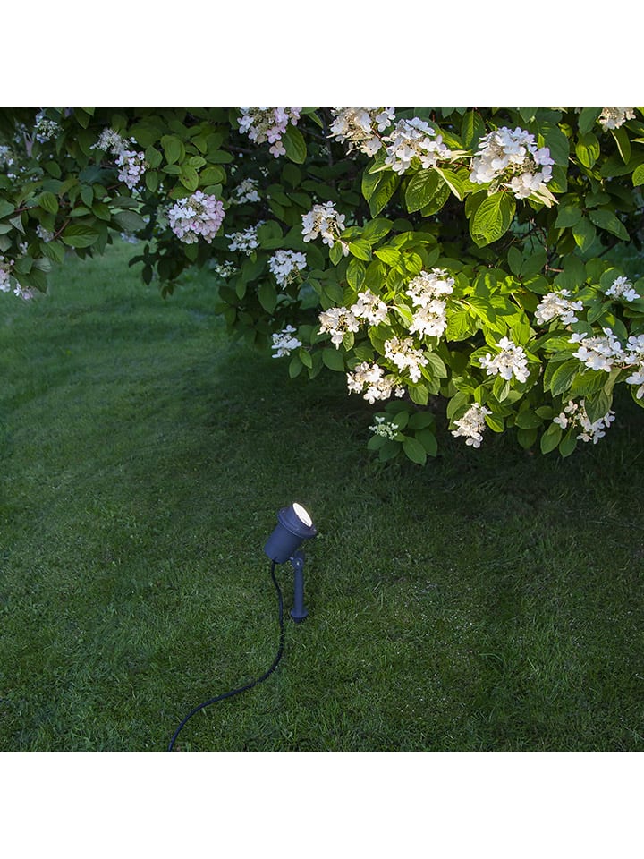 STAR Trading Gartenstecker 