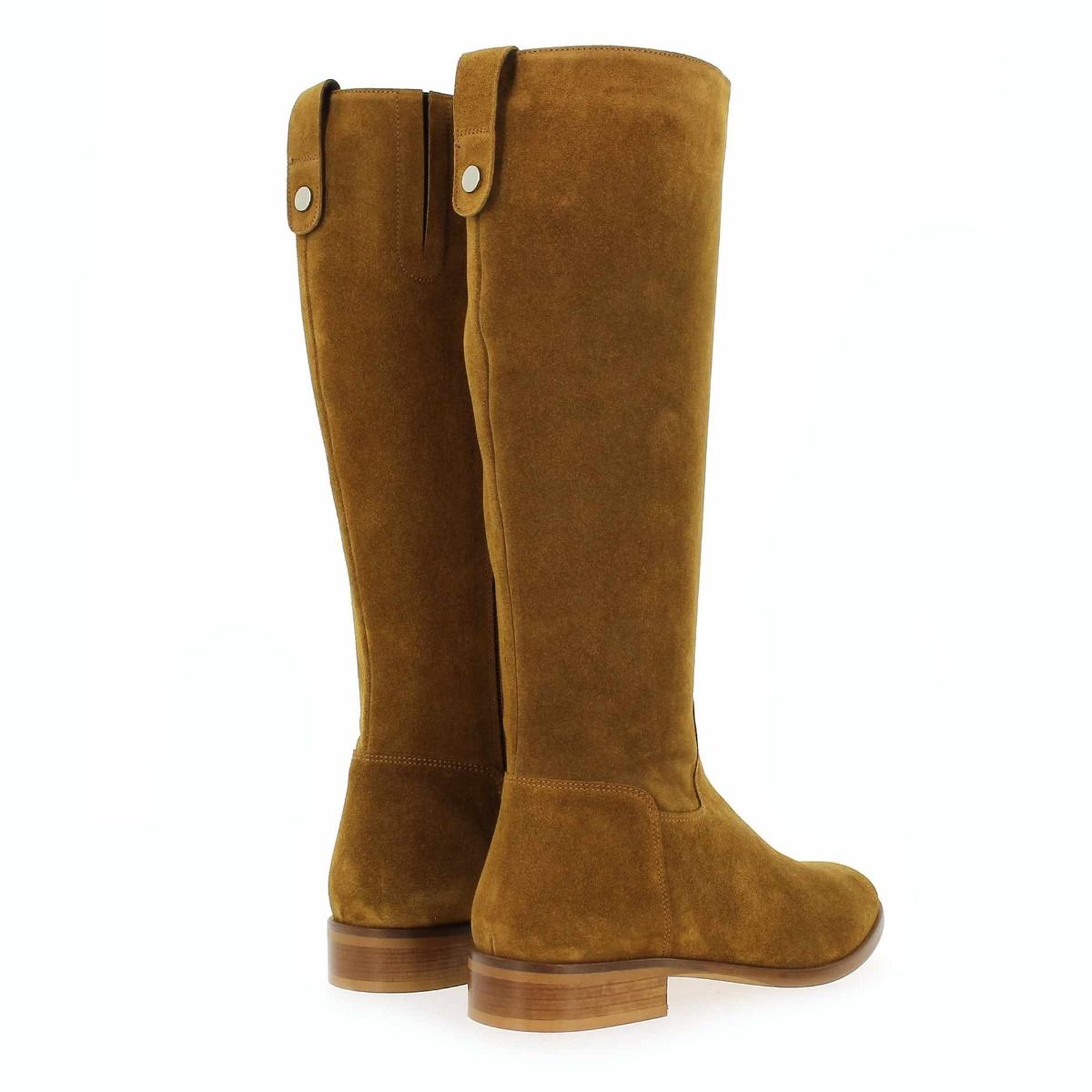 Janie Philip  DANAIDES - Camel