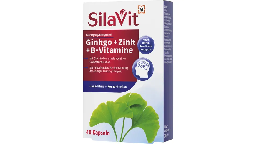 SilaVit Kapseln Ginkgo Zink B Vitamine Gedächtnis & Konzentration 20 g
