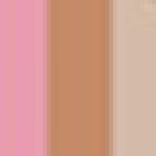 Astor Face Beautifier Contouring Palette  Highlighter