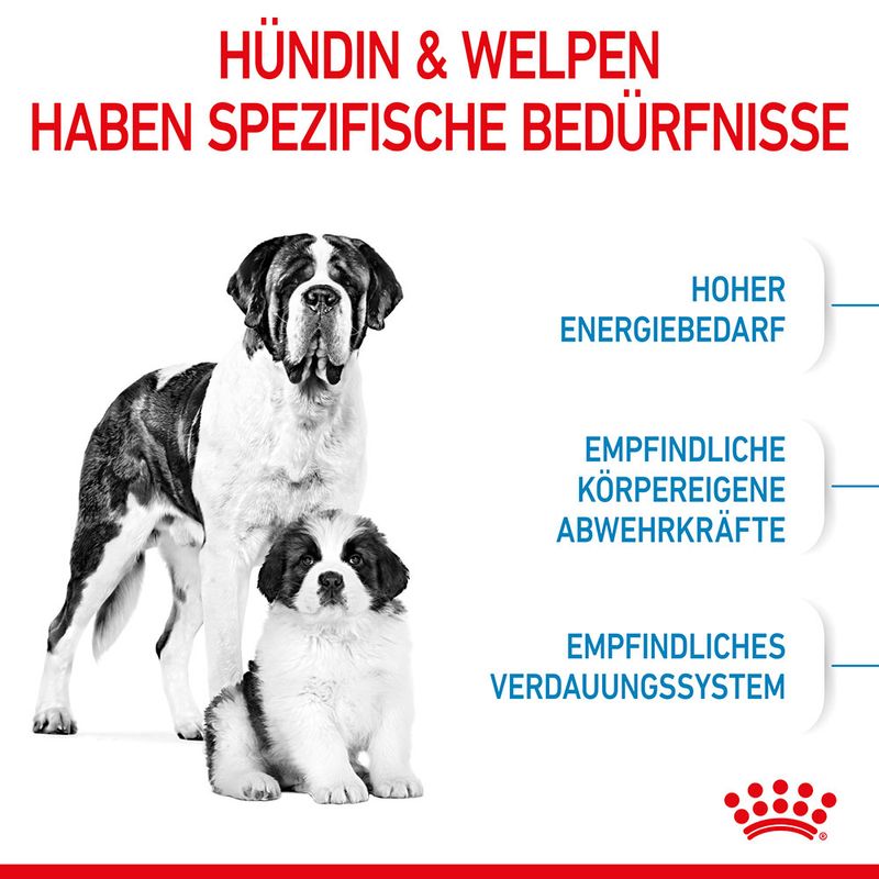 Royal Canin Giant Starter Mother & Babydog