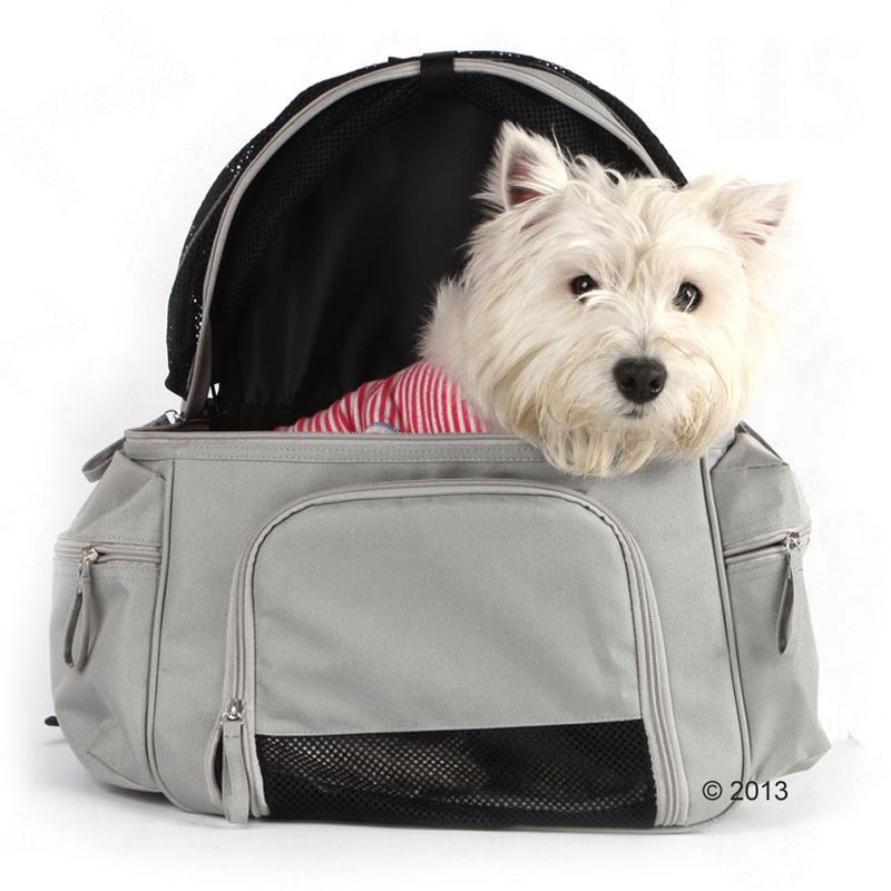 Rucksack-Tragetasche Sightseeing zu TOP-Preisen