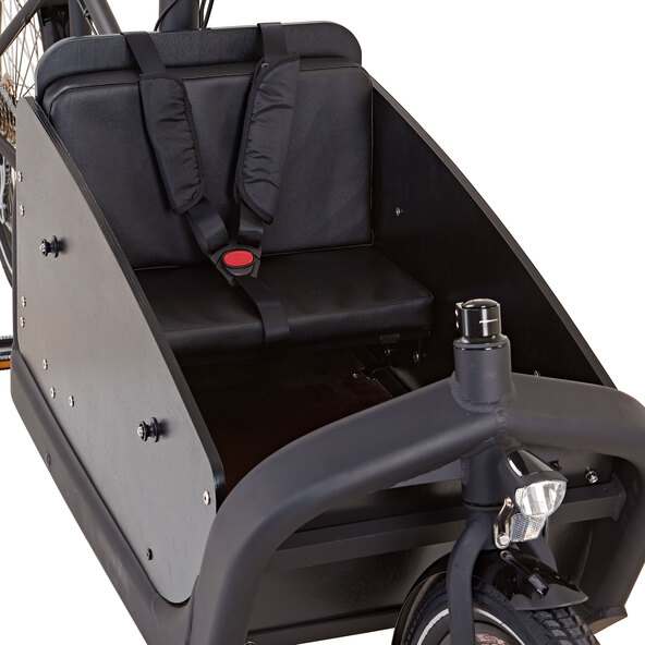 E-Bike Cargo 20/26 Zoll