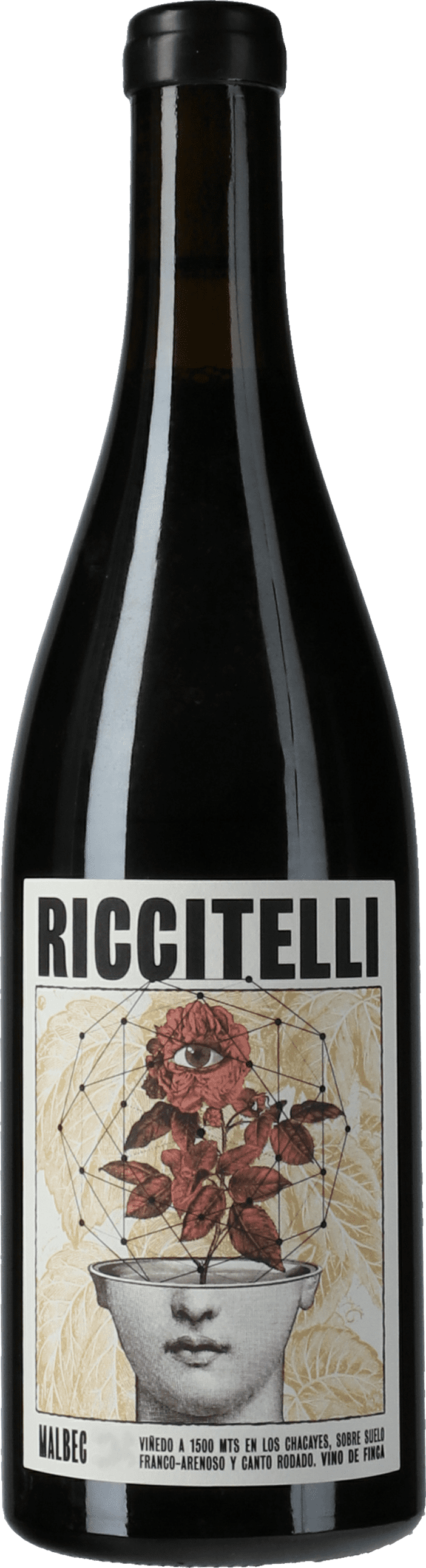 Matias Riccitelli: Vino de los Chacayes Malbec 2019