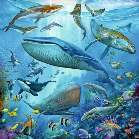Kinderpuzzle ab 5 Jahren - Tierwelt des Ozeans - 49 Teile