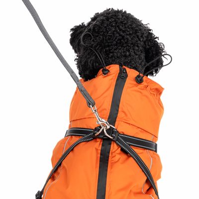 TIAKI Hundemantel mit Geschirr Arkon, orange