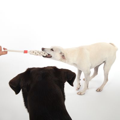 TIAKI Hundespielzeug Rope Stick
