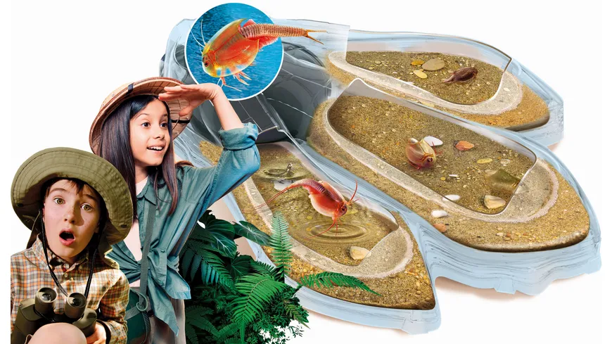 Clementoni - Galileo - Original Triops Maxi de Luxe