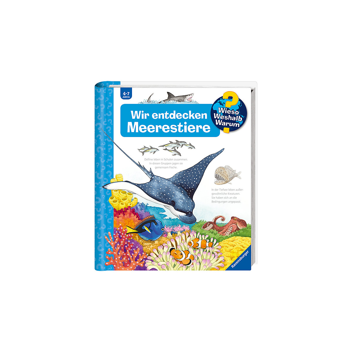 WWW Wir entdecken Meerestiere
