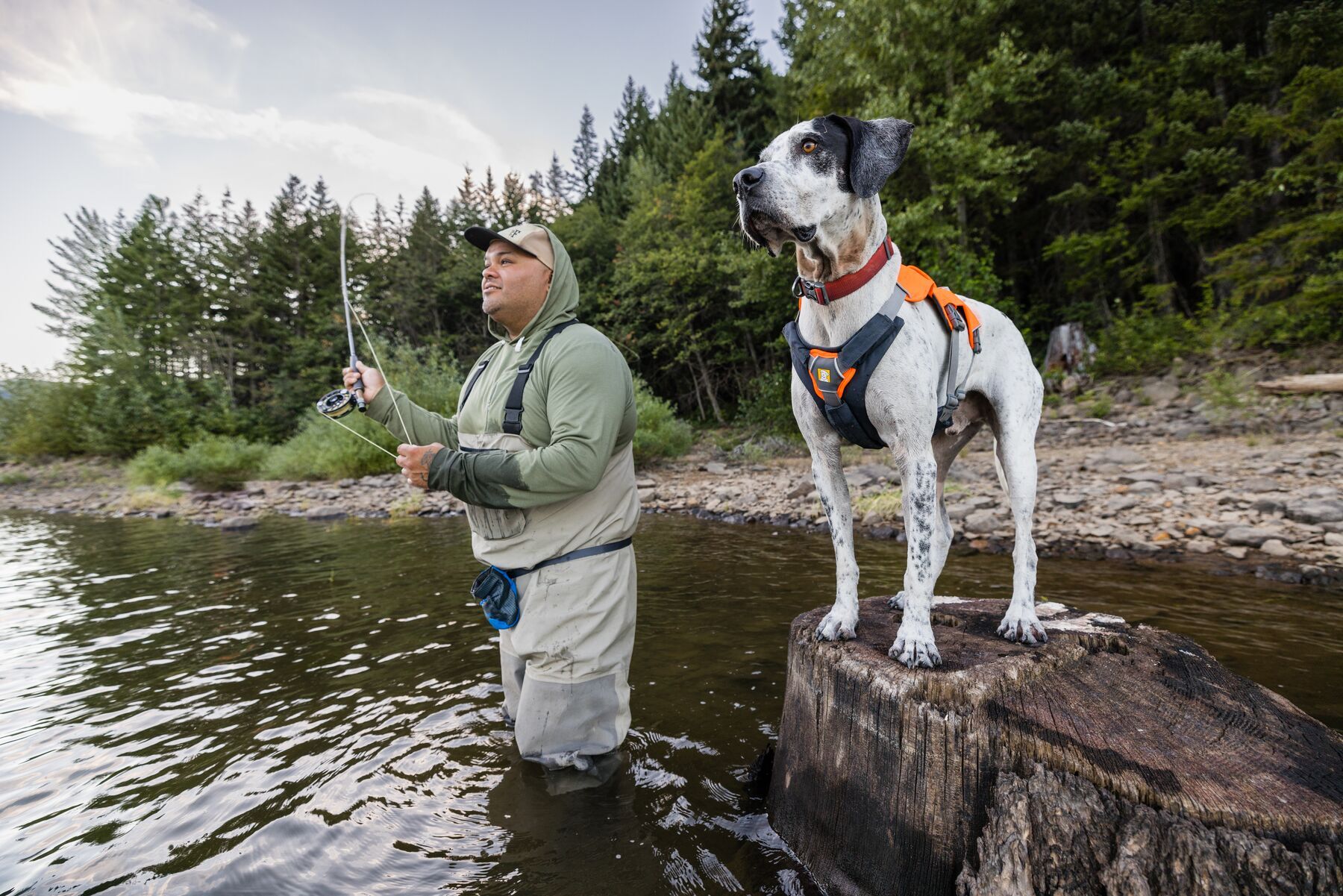 Ruffwear Hundegeschirre Ruffwear Brush Guard™ Geschirrzubehör S