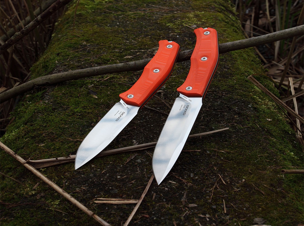 Gekko 1533