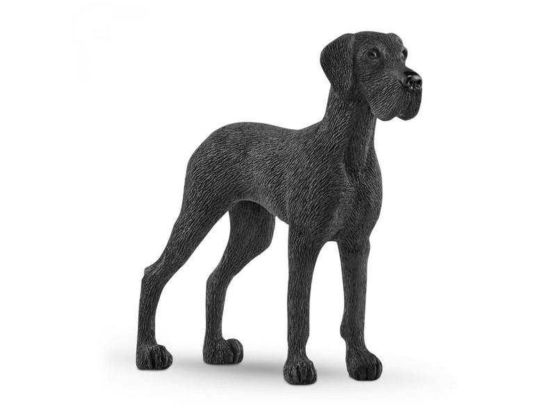 Dogue Allemand