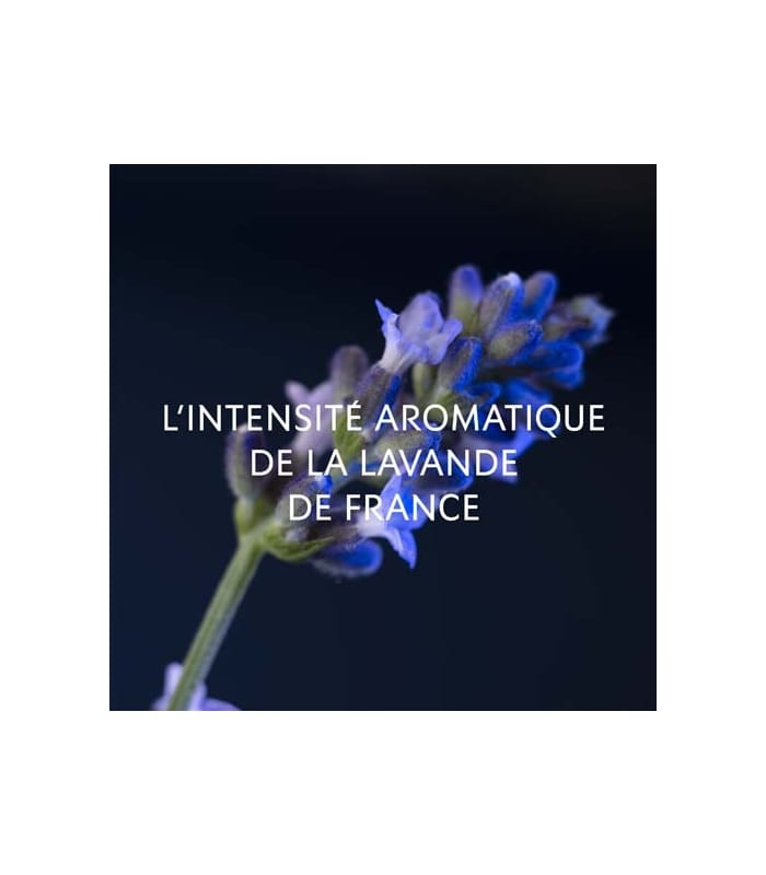 YVES SAINT LAURENT-Y LE PARFUM-Eau de Parfum