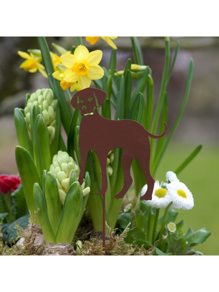 UNUS 4er Set Gartenstecker Rost Hunde in Braun günstig kaufen onesize