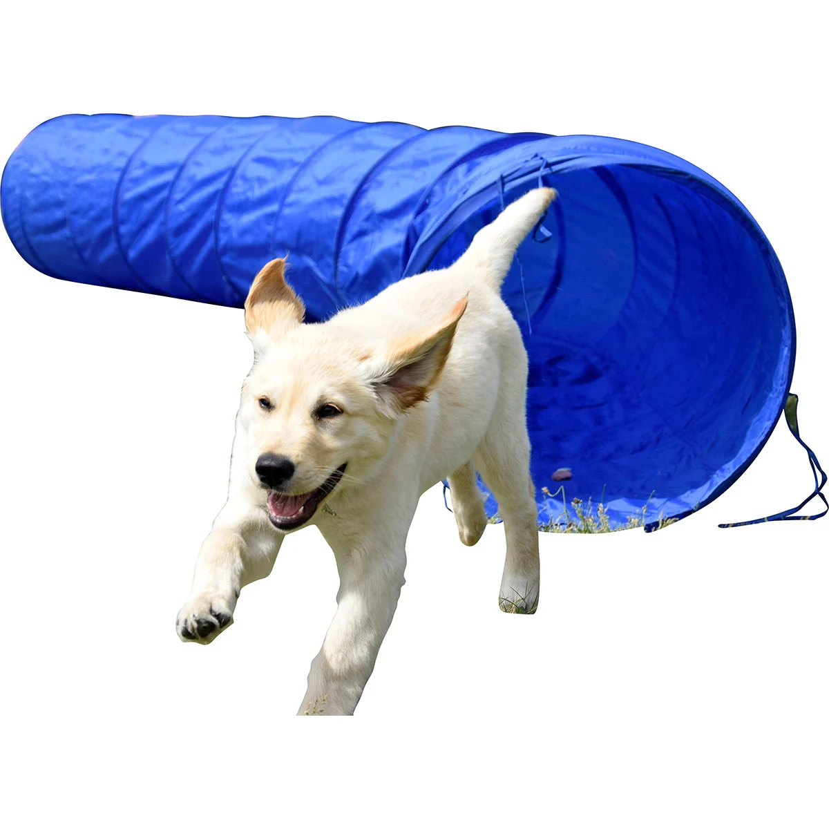 dobar Agility Tunnel 300 cm lang, Ø 50 cm kaufen