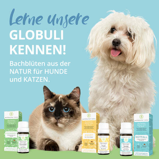 Wolfsbacher Natur Ergänzungsfutter & Aufzucht Wolfsbacher Natur Bachblüten Einsamkeit