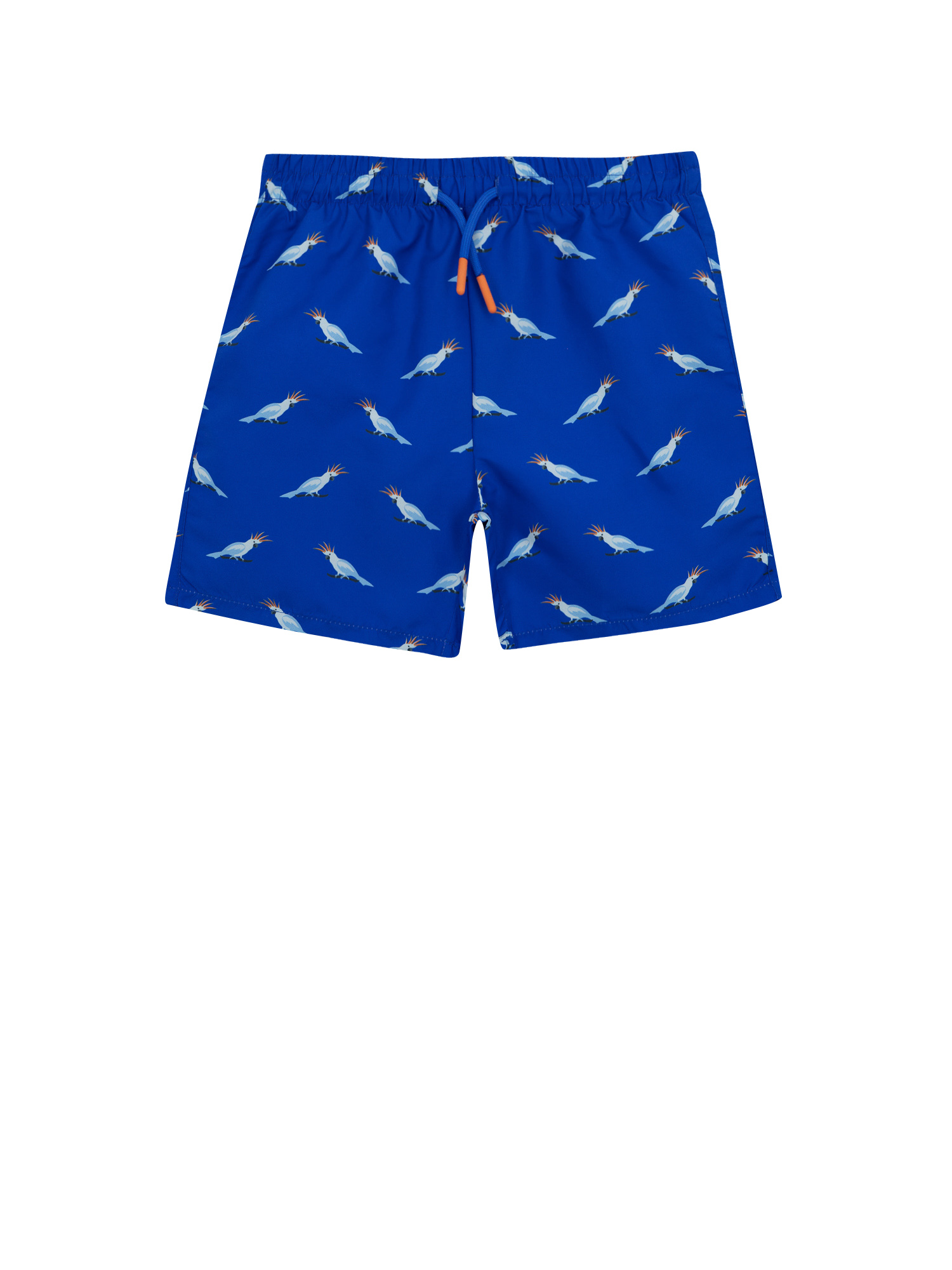 Board Shorts