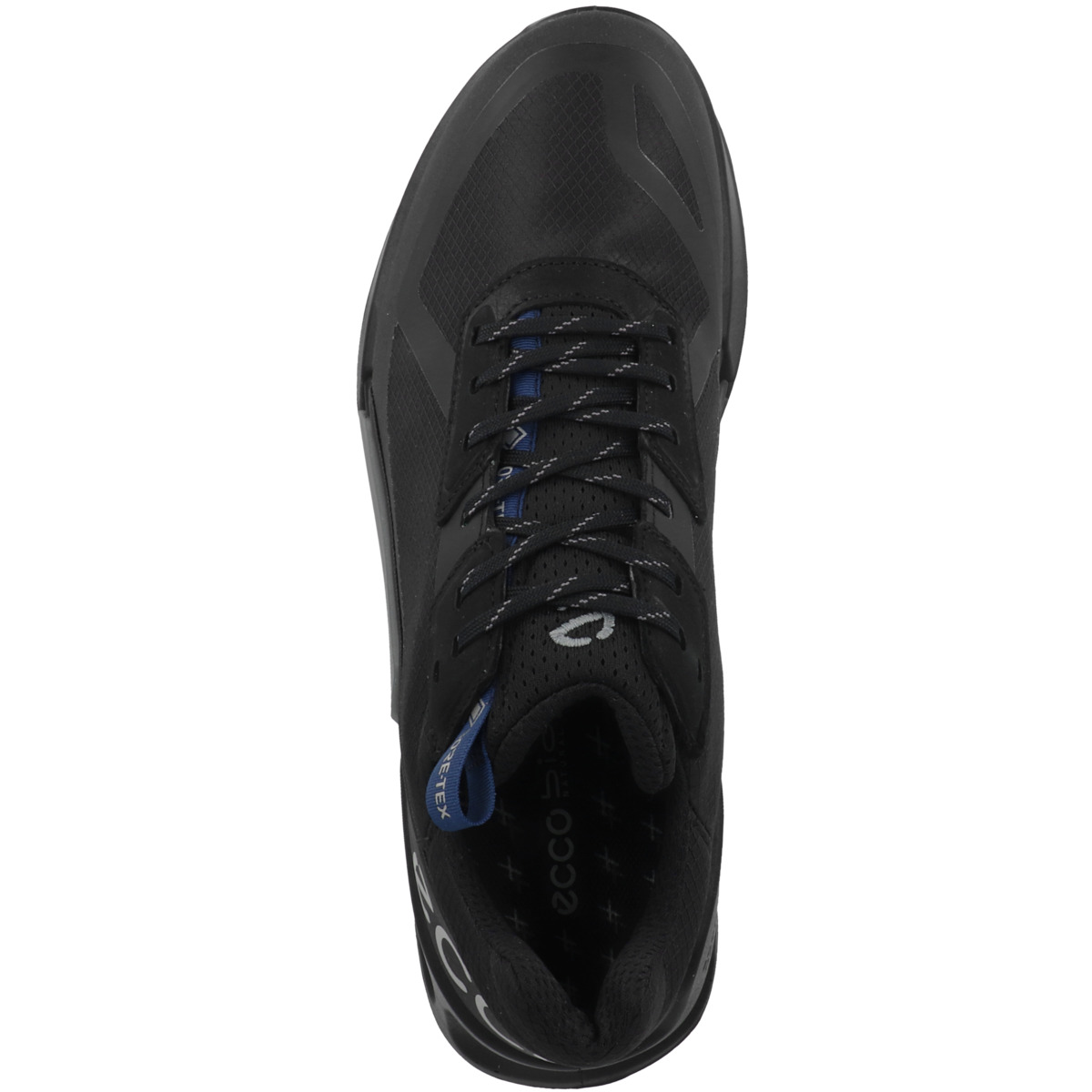 Ecco Biom 2.1 X Country M Low GTX Outdoorschuhe schwarz