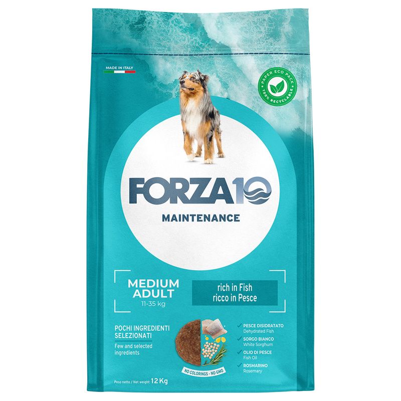Forza 10 Medium Maintenance mit Fisch