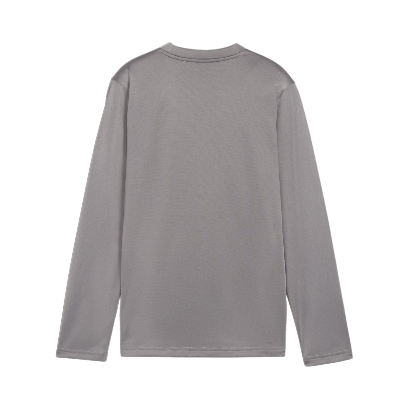 PUMA teamGOAL Training Sweatshirt Kids Grau F13