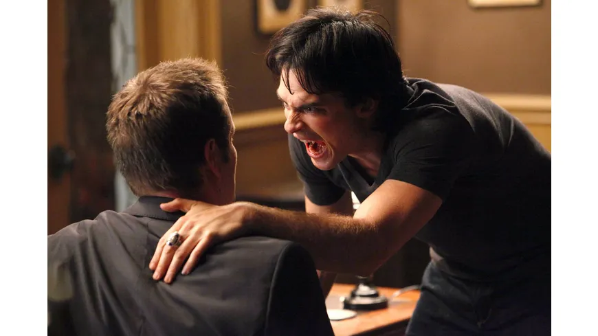 The Vampire Diaries - Staffel 3  [5 DVDs]
