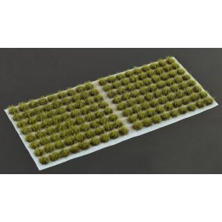 Swamp 4mm Small