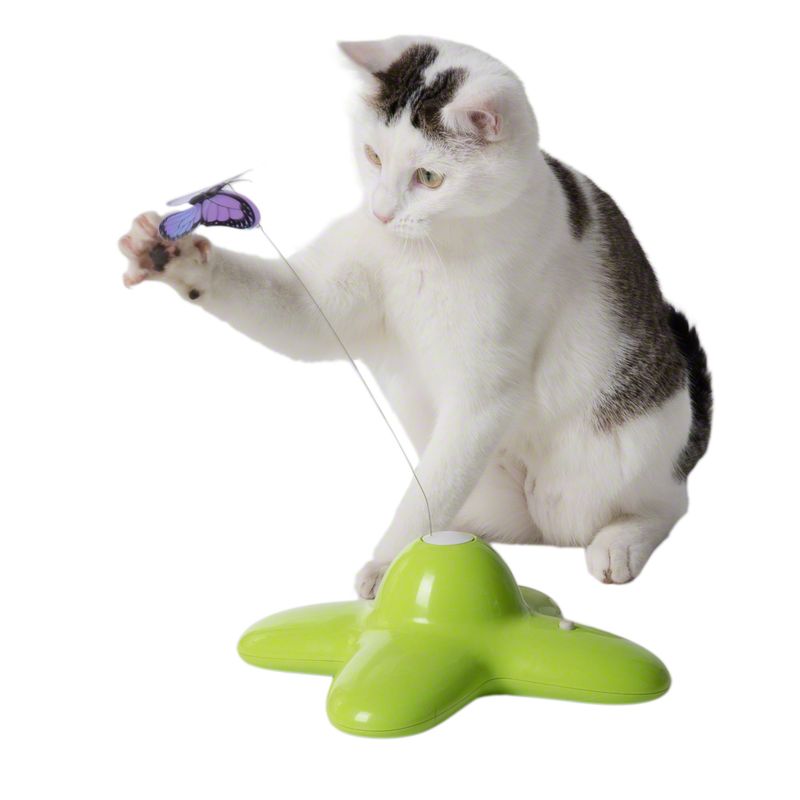 Katzenspielzeug Funny Butterfly zu TOP-Preisen