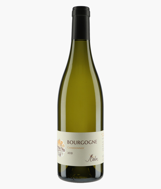 Bourgogne 2021MERLIN