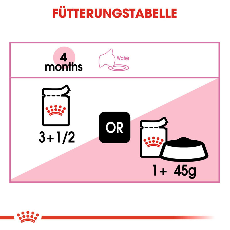 ROYAL CANIN Nassfutter ROYAL CANIN Kitten 12x85g in Gelee