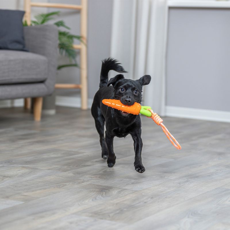 Trixie Hundespielzeug Karotte am Seil zu TOP-Preisen | bitiba.de