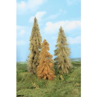 Lärchen herbstlich 18 - 24cm (3)
