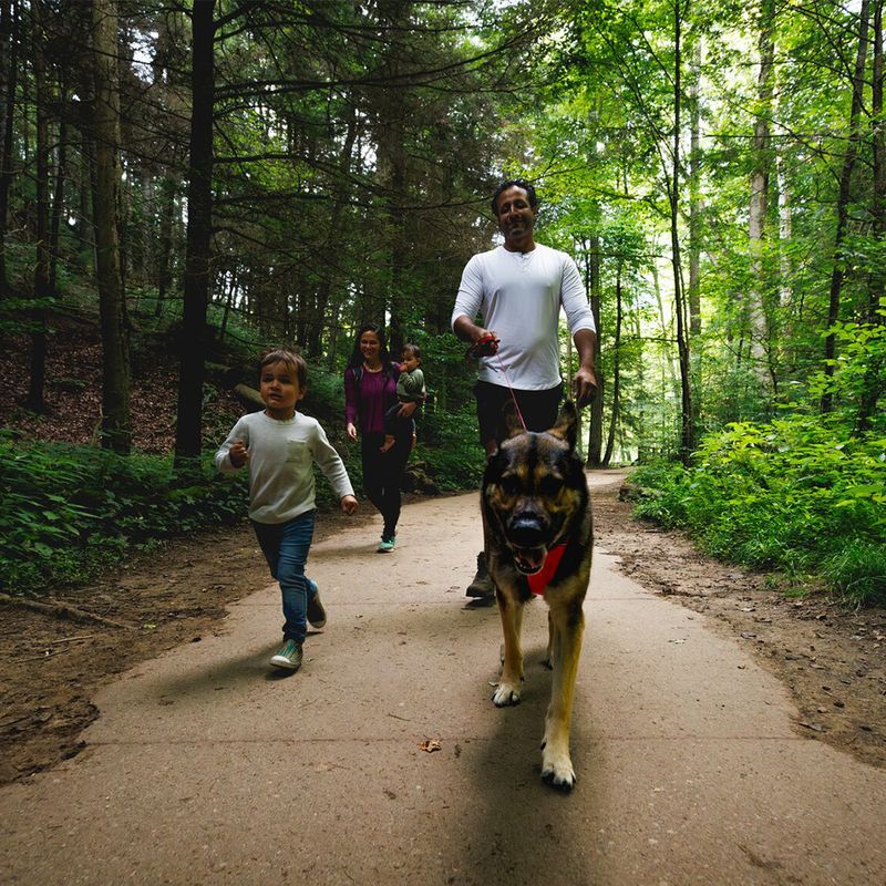 Ruffwear Front Range Hundegeschirr, Red Canyon