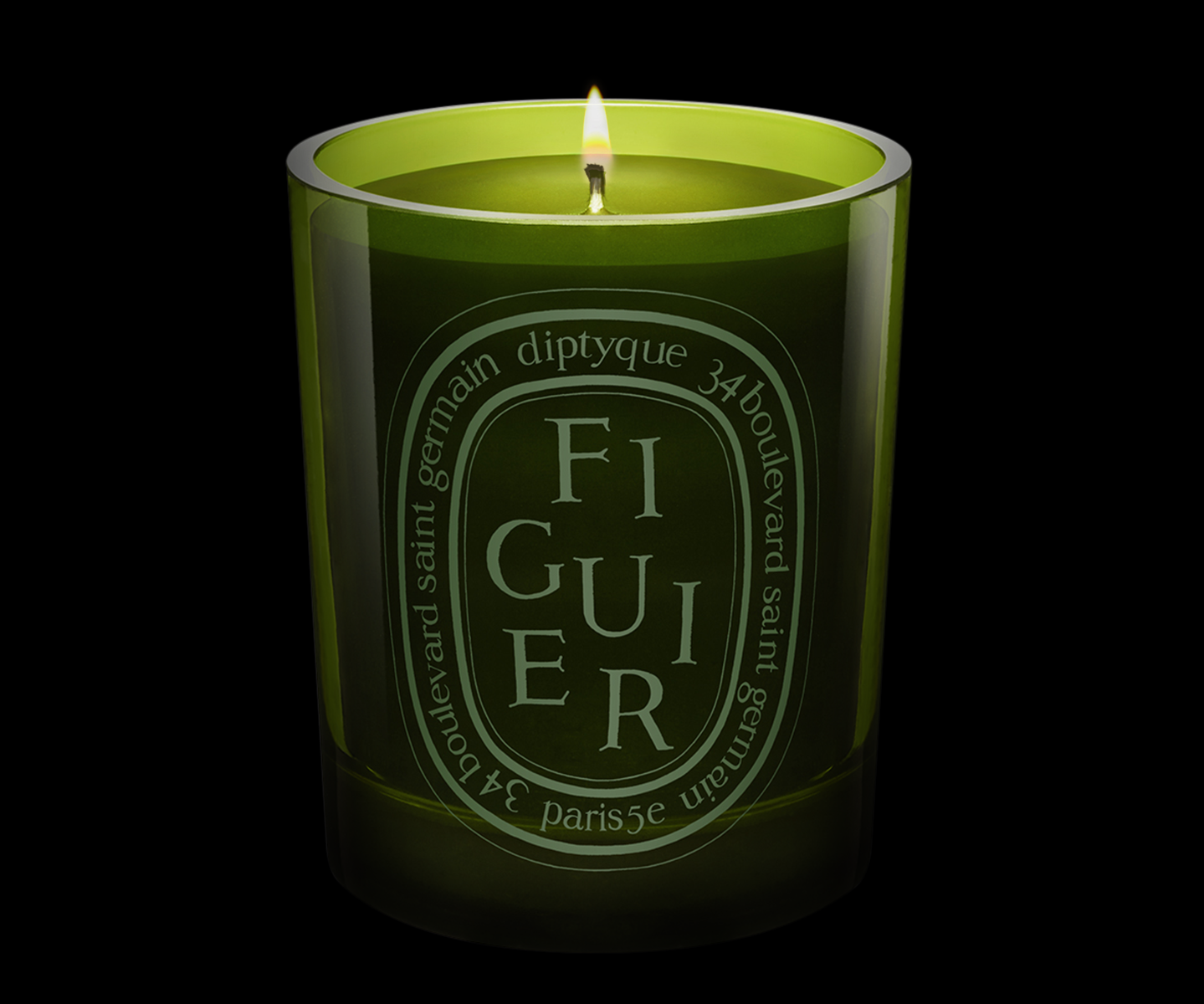 Figuier - Bougie moyen modèle