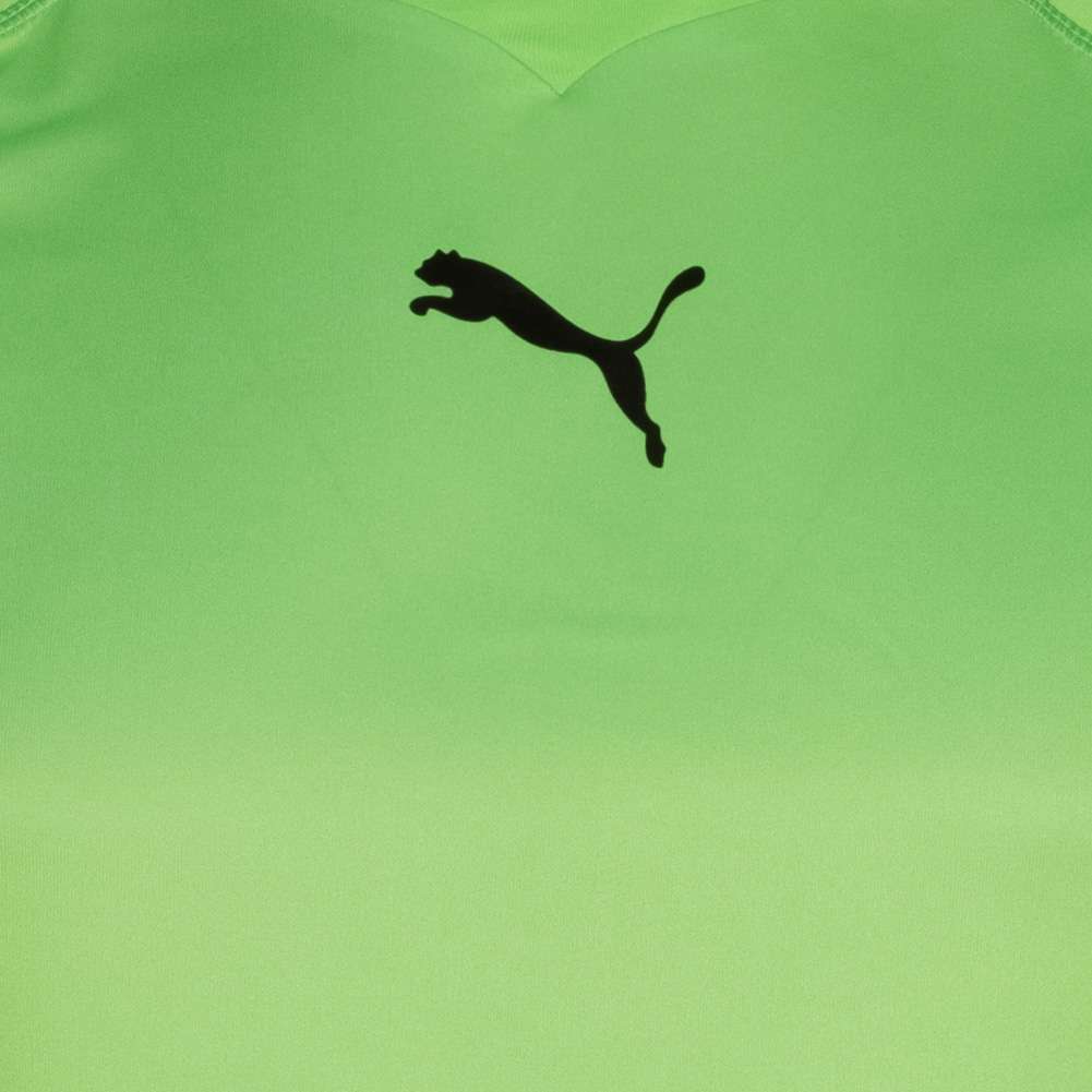 PUMA Herren Langarm Torwarttrikot 740208-02