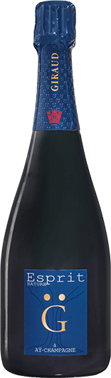Henri Giraud : Esprit Nature Brut