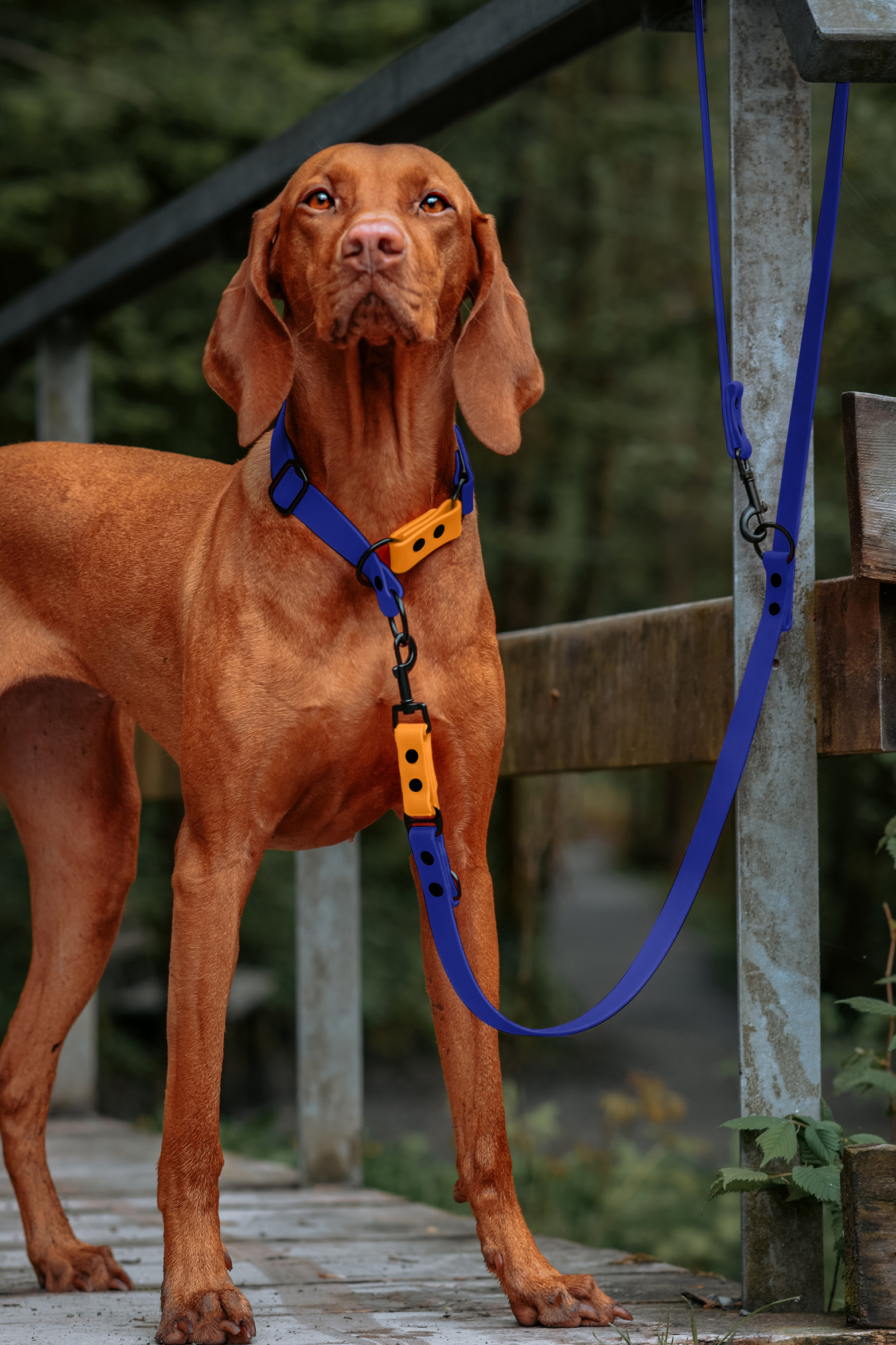 THE DOG IDEA Hundehalsbänder THE DOG IDEA Biothane Halsband Blau L