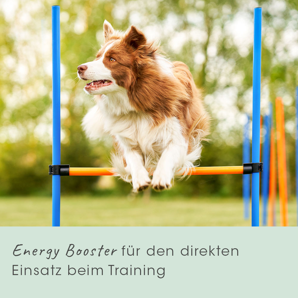 cdVet Ergänzungsfutter & Aufzucht cdVet EnergyUp 450g