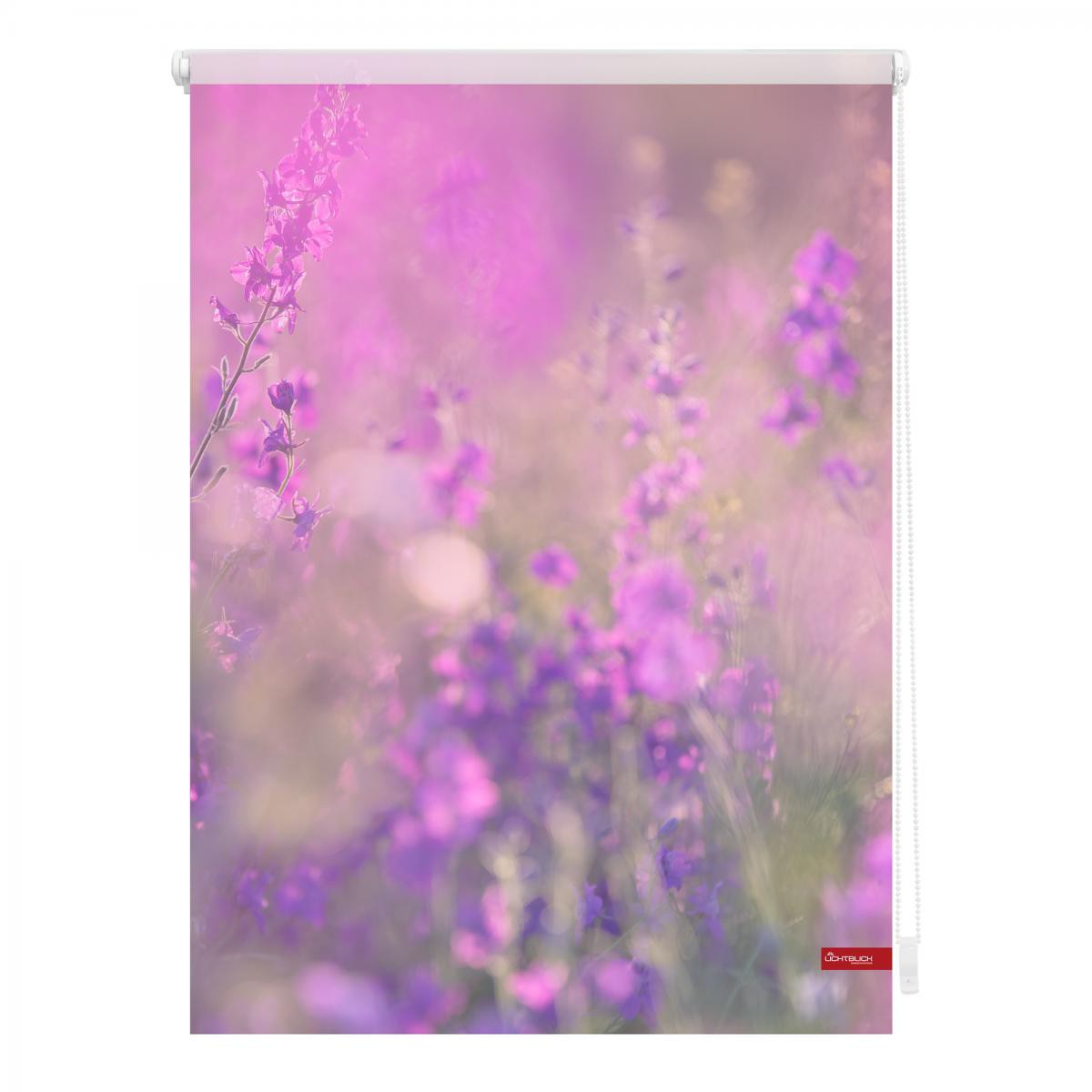 Lichtblick Rollo Klemmfix, ohne Bohren, blickdicht, Blumenwiese - Fuchsia Violett, 60 x 150 cm (B x L)