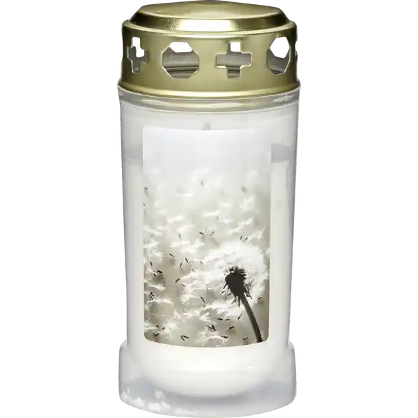 Dauerbrenner mit Motiv