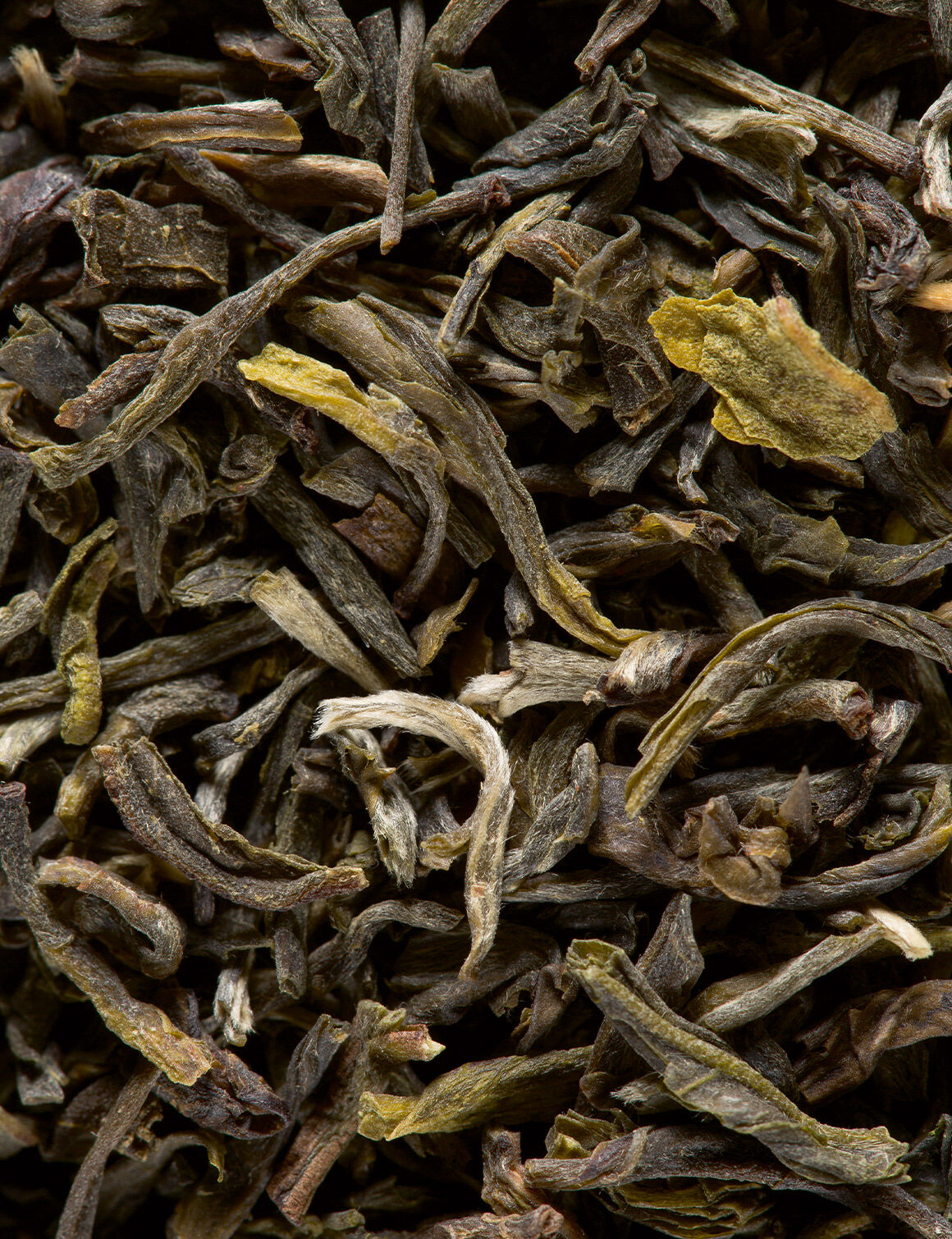 Yunnan vert-25 sachets