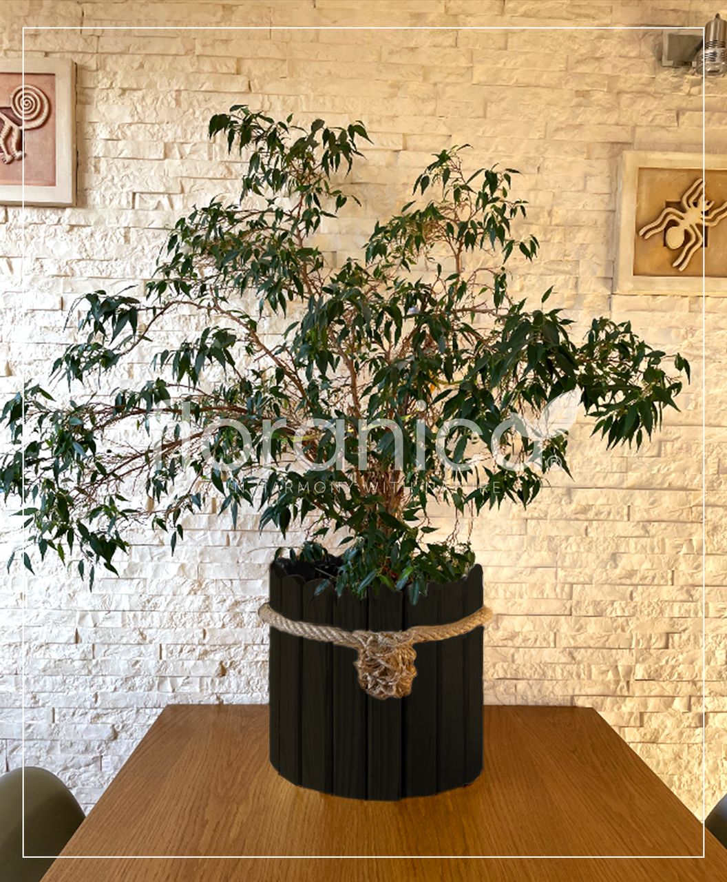 Pemicont Floranica Runder Blumentopf aus Holz 33x20cm Anthrazit Imprägnierte Kiefer Schutzhülle für Kräuter Blumen Haus- und Gartendekoration Truhe Innen- und Außeneinsatz EU-Produkt