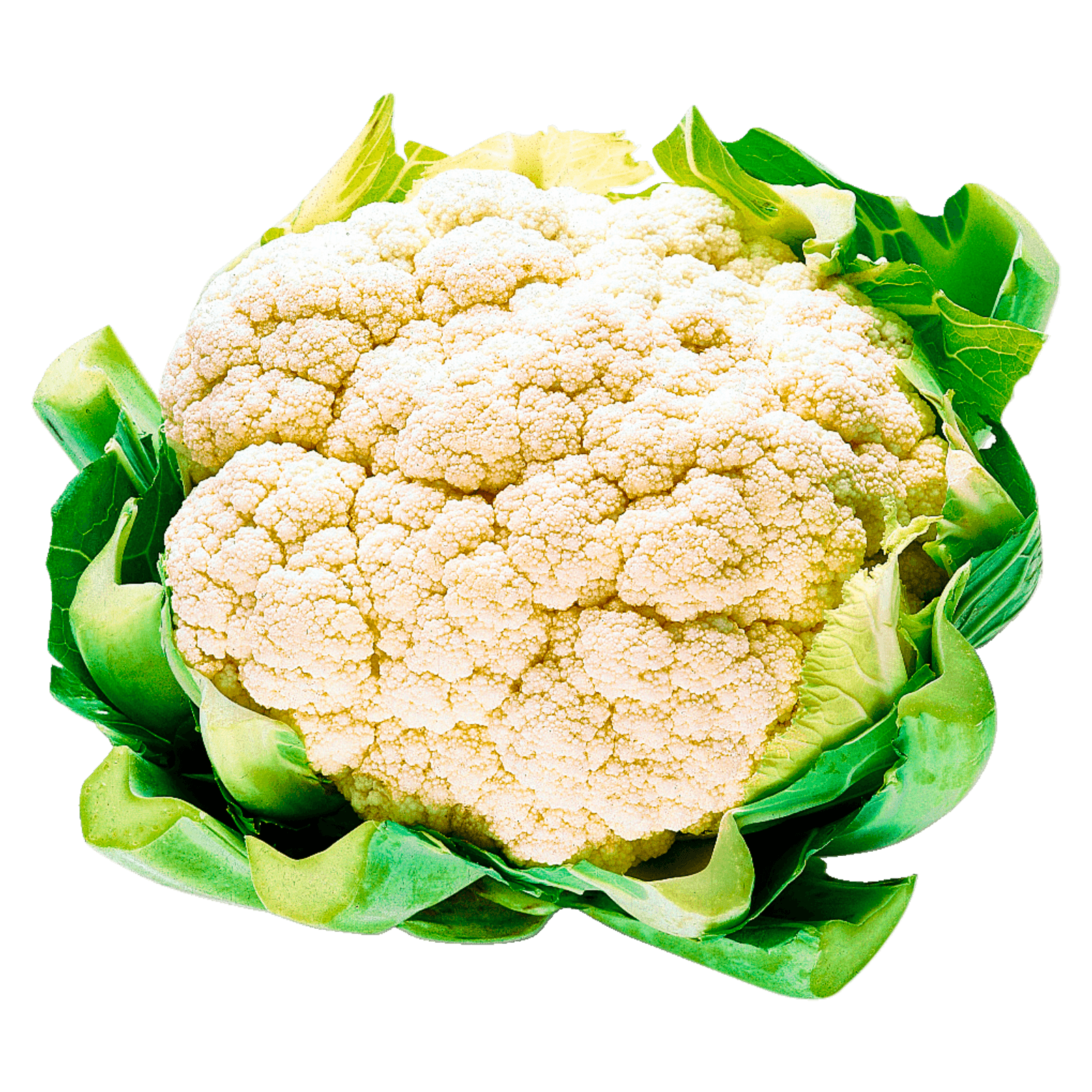 Blumenkohl weiß 1 Stück