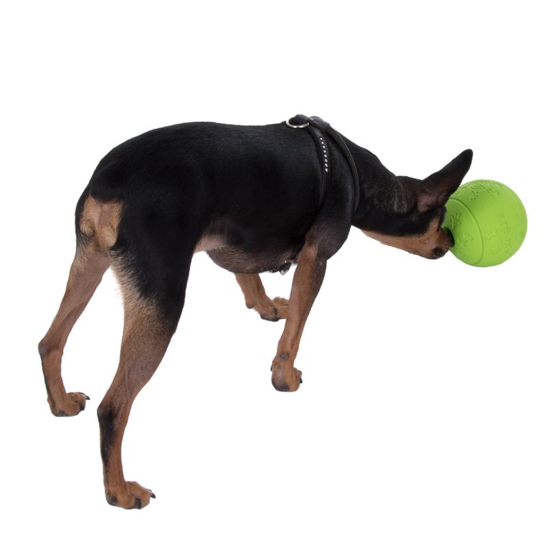 Hundespielzeug Snackball zu TOP-Preisen