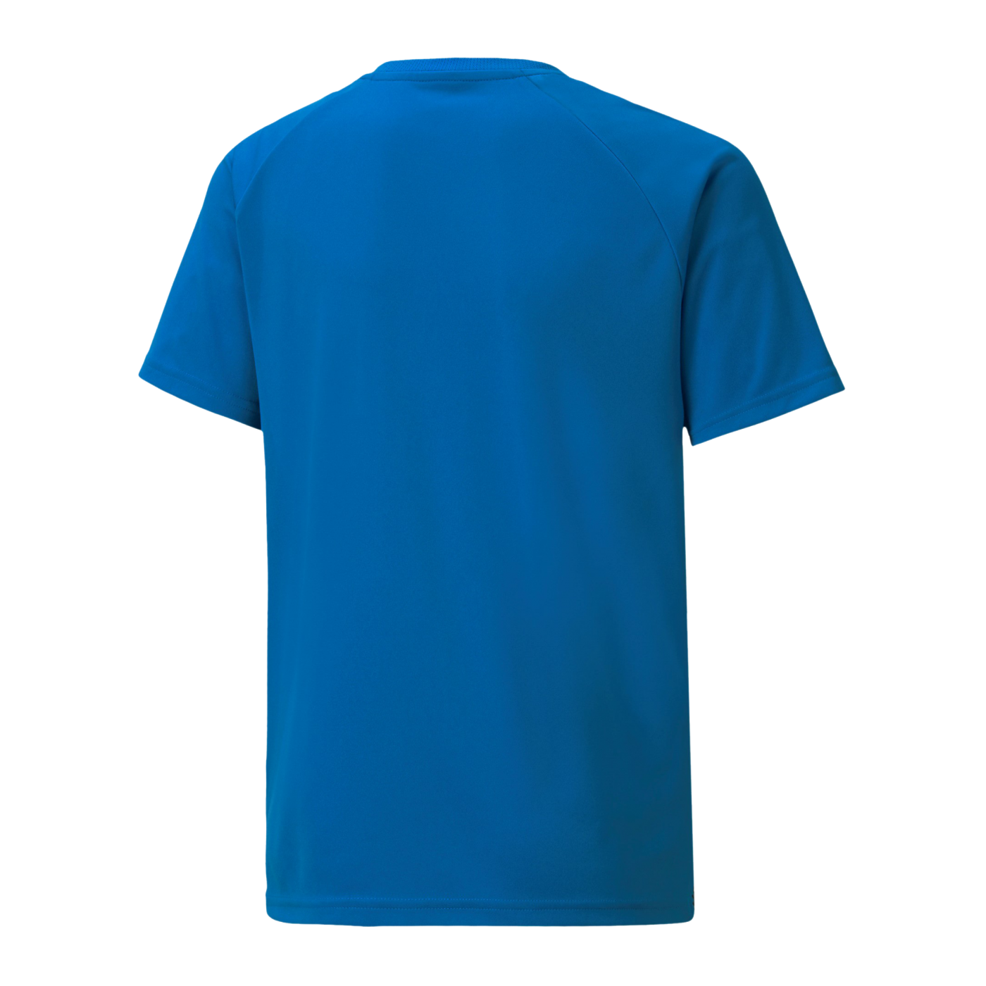 PUMA teamLIGA Striped Trikot Kids Blau Schwarz F02