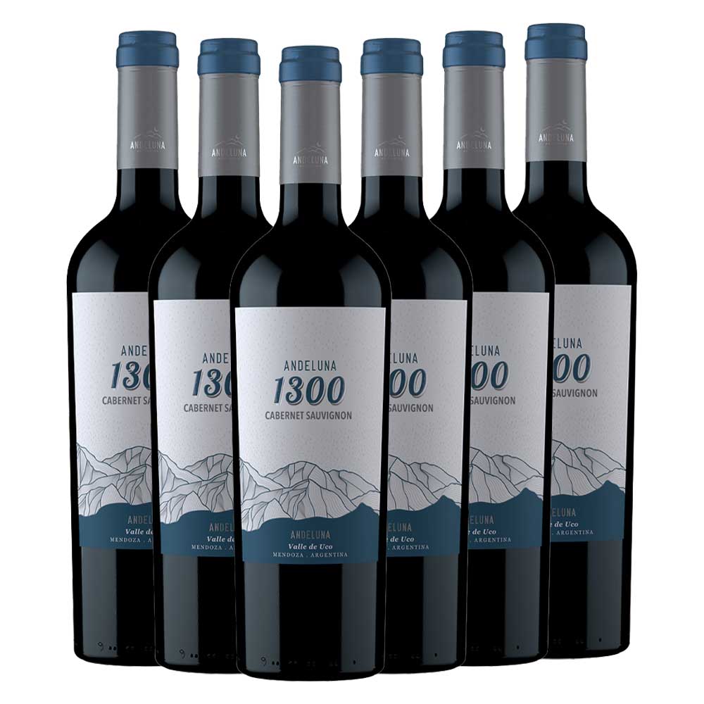 Vina Caliterra S.A. Cabernet Sauv. Andeluna 1300 - 6er Karton